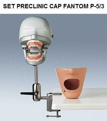 Fantomas, modelo de boca para prática dentária