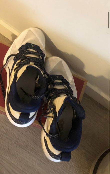 Tenis Jordan - ZW - Originais - Excelente - Edição Limitada