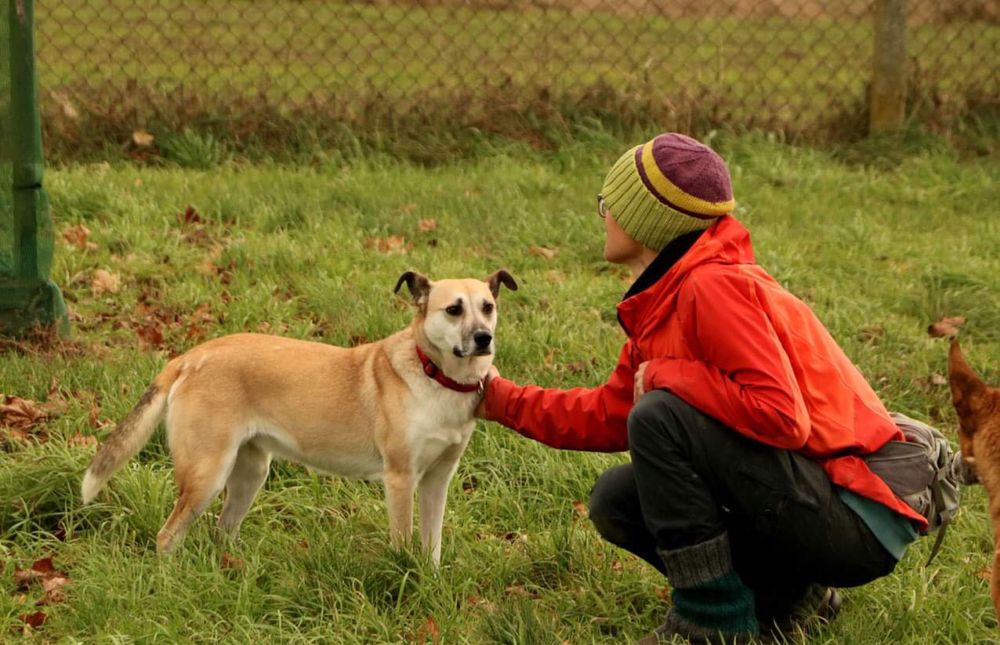 Piękna wesoła Fiona do adopcji