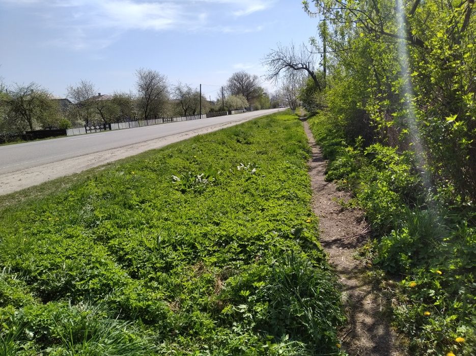 продам земельну ділянку,по трасі львів іванофранківськ