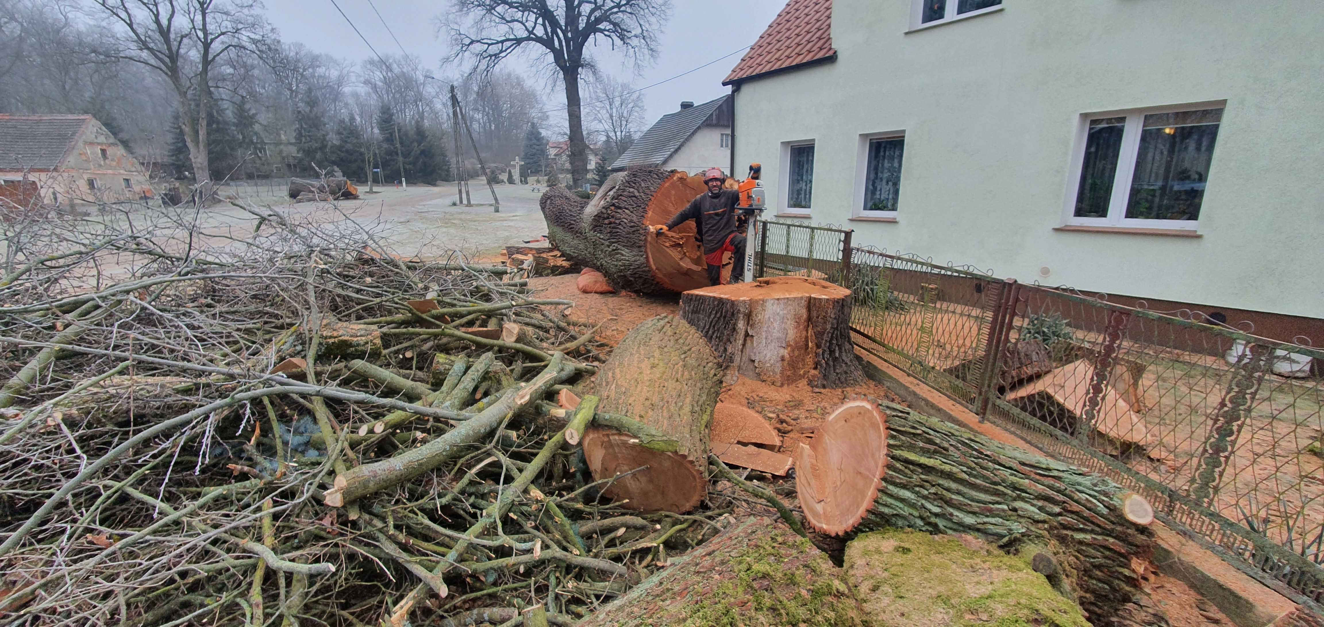 Arborysta, wycinka i pielęgnacja drzew trudnych Sulęcin i okolice