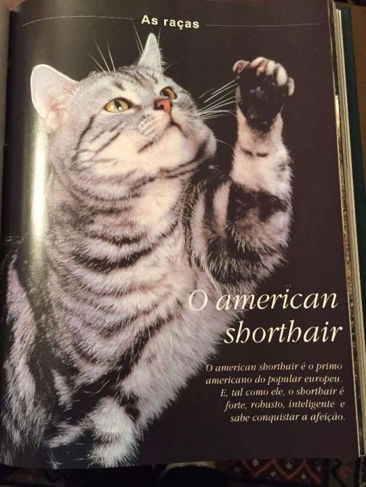Enciclopédia Os Nossos Amigos os Gatos - 6 vol