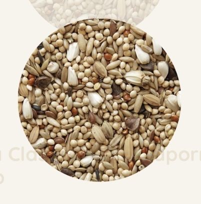 Mistura de sementes para aves