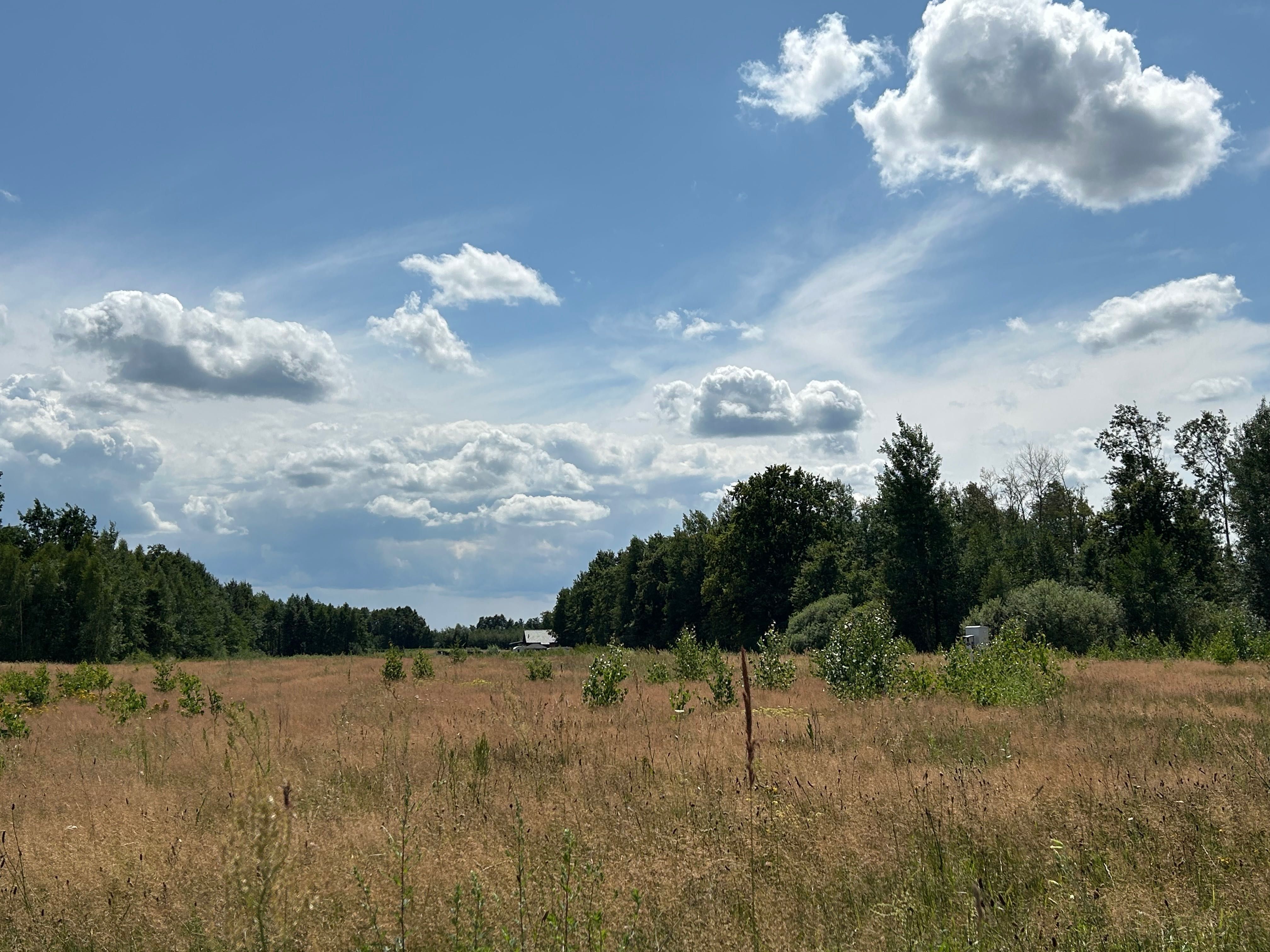 Działka budowlana/letniskowa Sokołowo Włościańskie