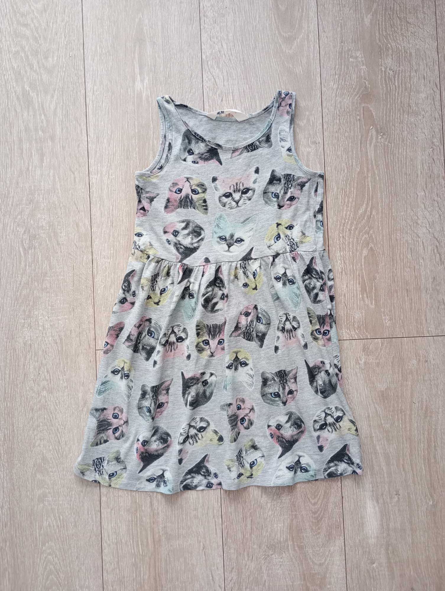 Sukienka H&M r. 122 128 w kotki letnia bawełniana koty