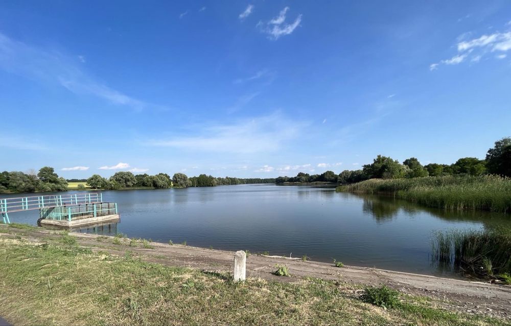 Продам землю 12 гектар 1000$ за га