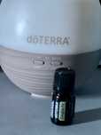 Olejek doterra douglas fir