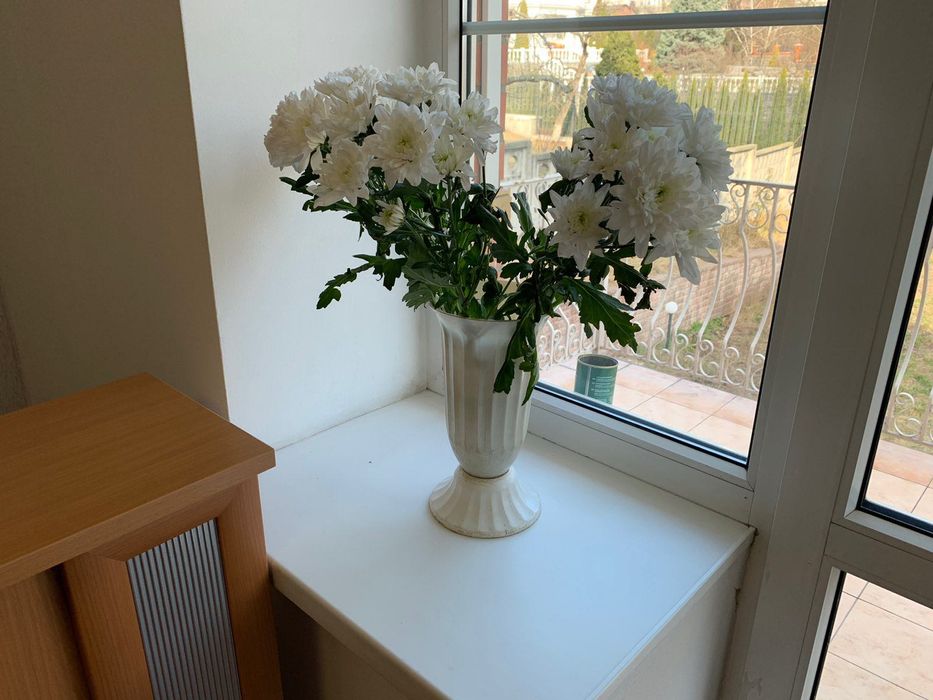 Гуртожиток у центрі Києва Тиждень проживання – 400 грн.-22-555.biz.ua