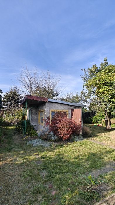 Działka ROD Mikolaja Reja, 300m2