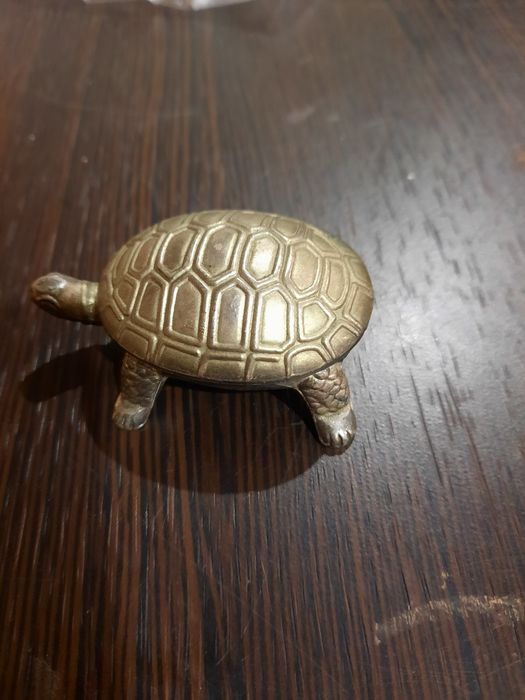 Шкатулка Черепаха