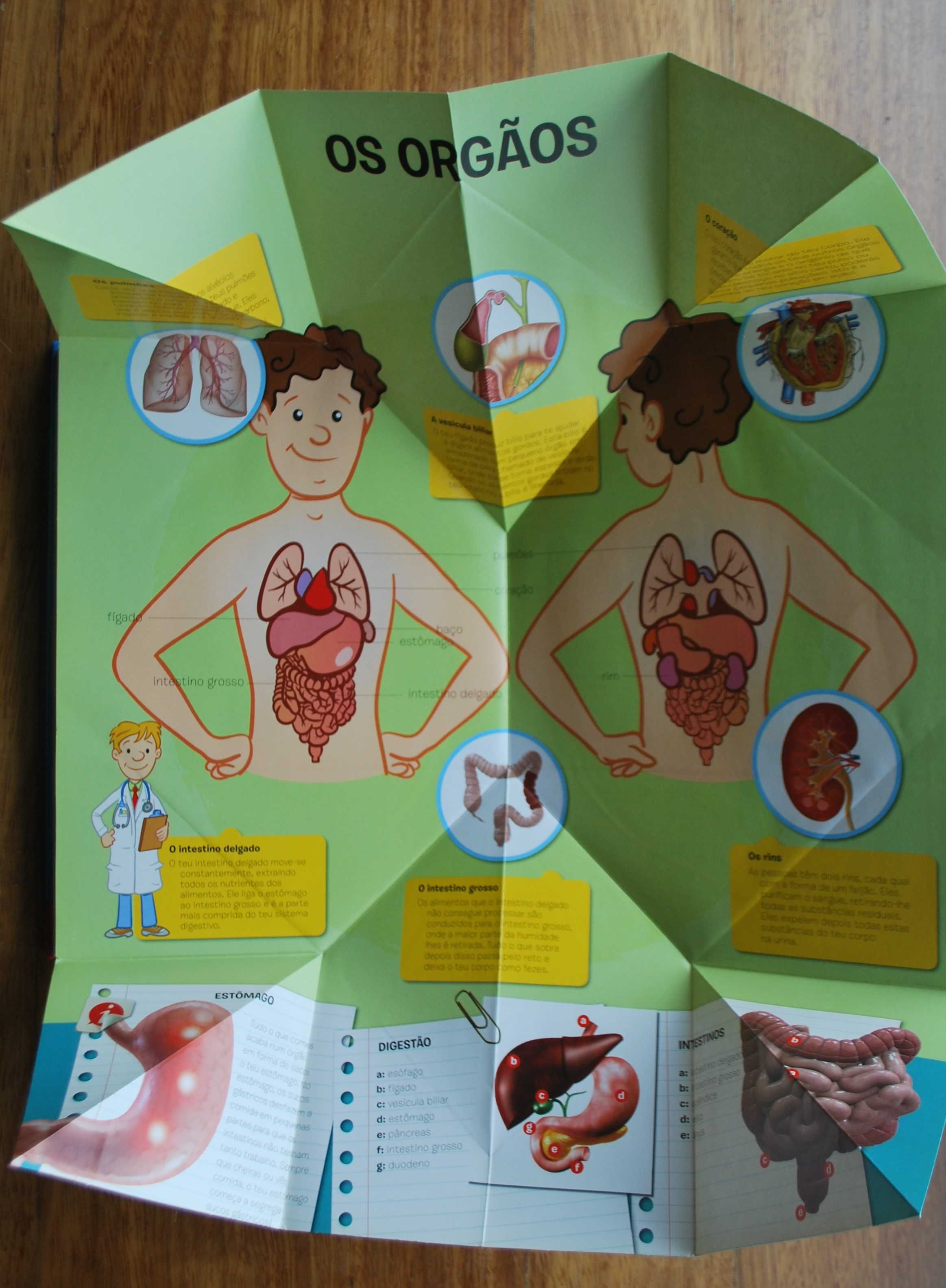 Atlas Desdobrável do Corpo Humano (dos 6 aos 10 anos)