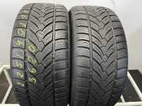 225/40/18 92V Platin RP Winter