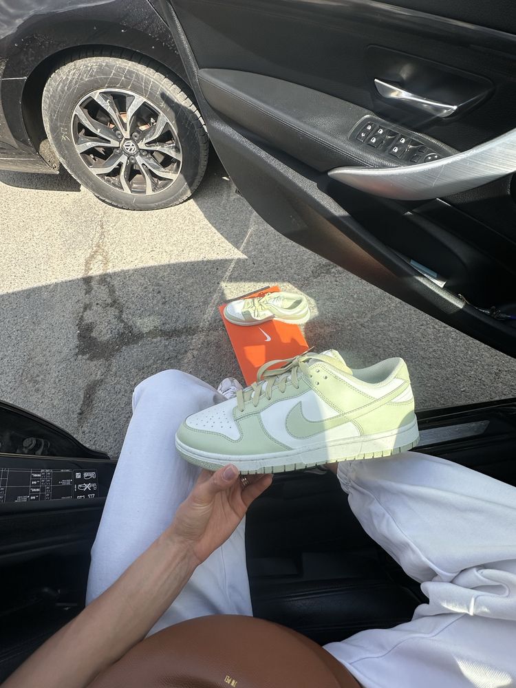 Чоловічі оригінальні кросівки Nike DUNK LOW HF5384 300
