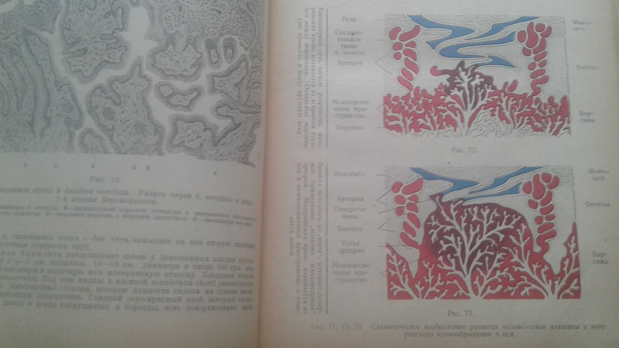 Физиологическое акушерство 1922 год антикварная книга