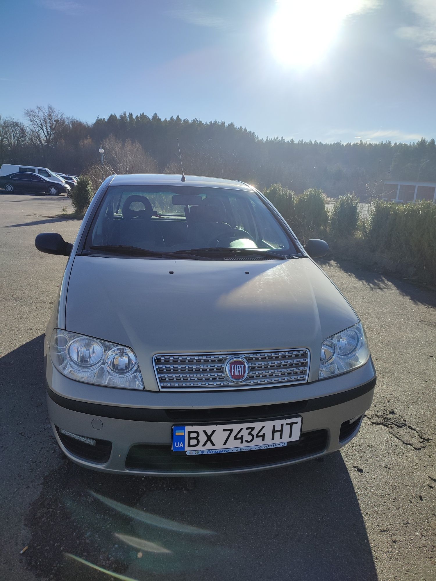 Fiat Punto 2010 рік