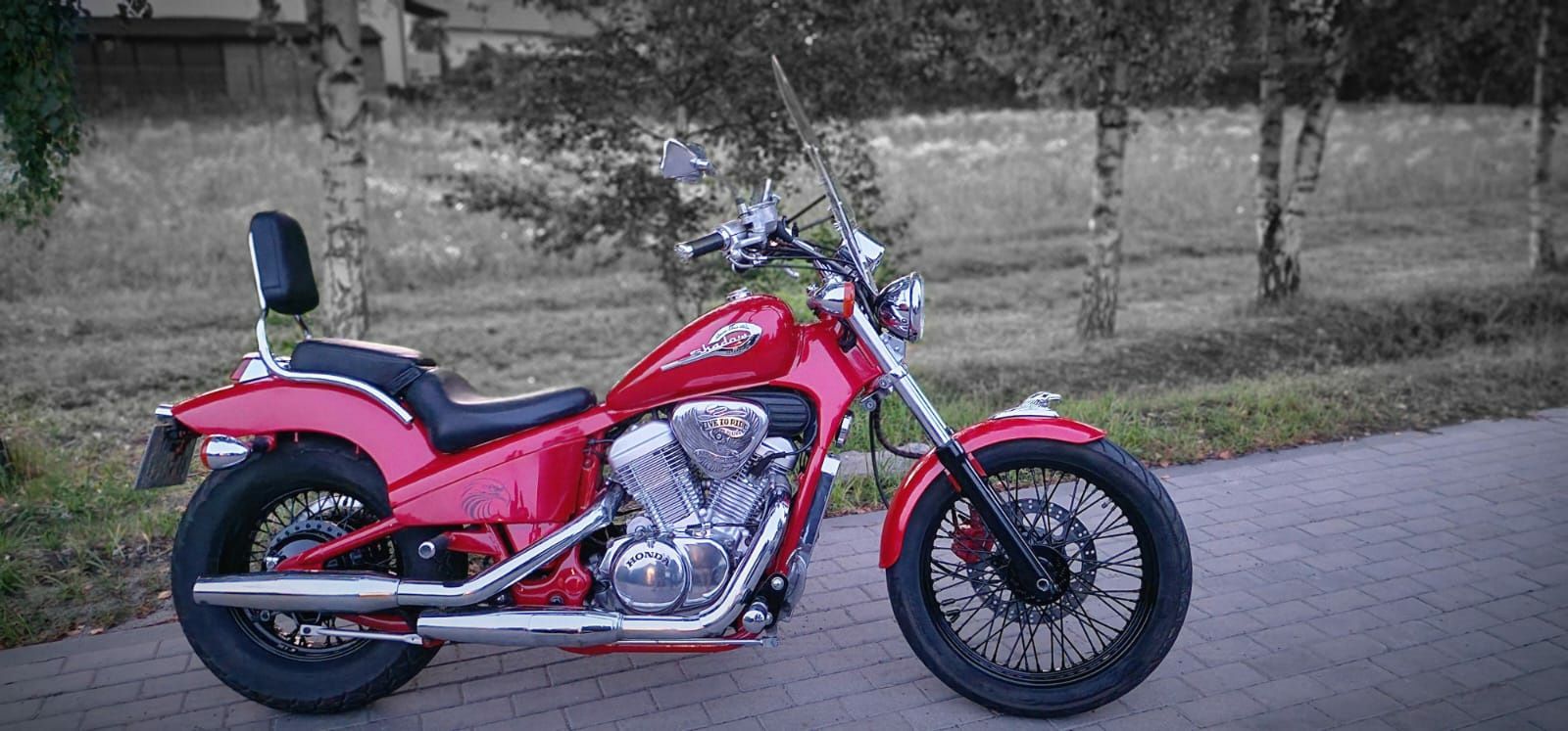 Honda shadow vt 600c