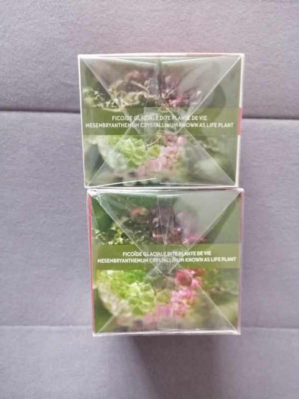 Zestaw 2xkremy Serum Vegetal Yves Rocher wygładzenie zmarszczek