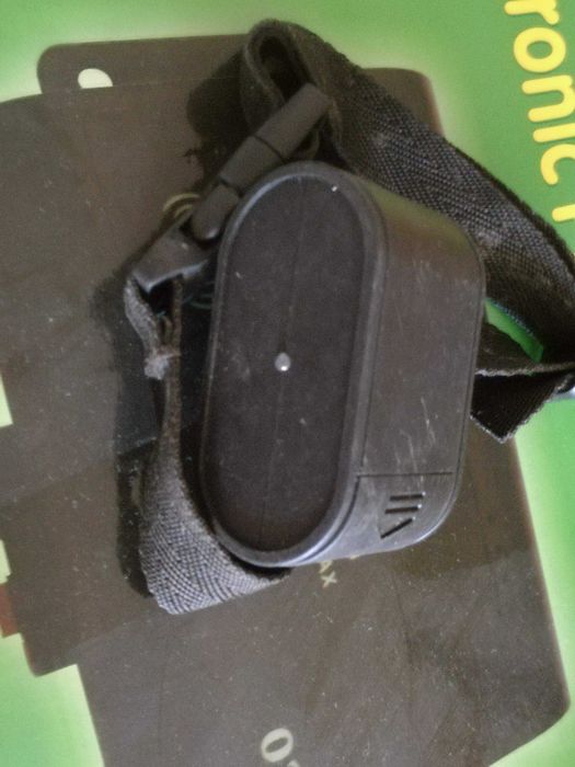 Cerca elétrica para cães domésticos