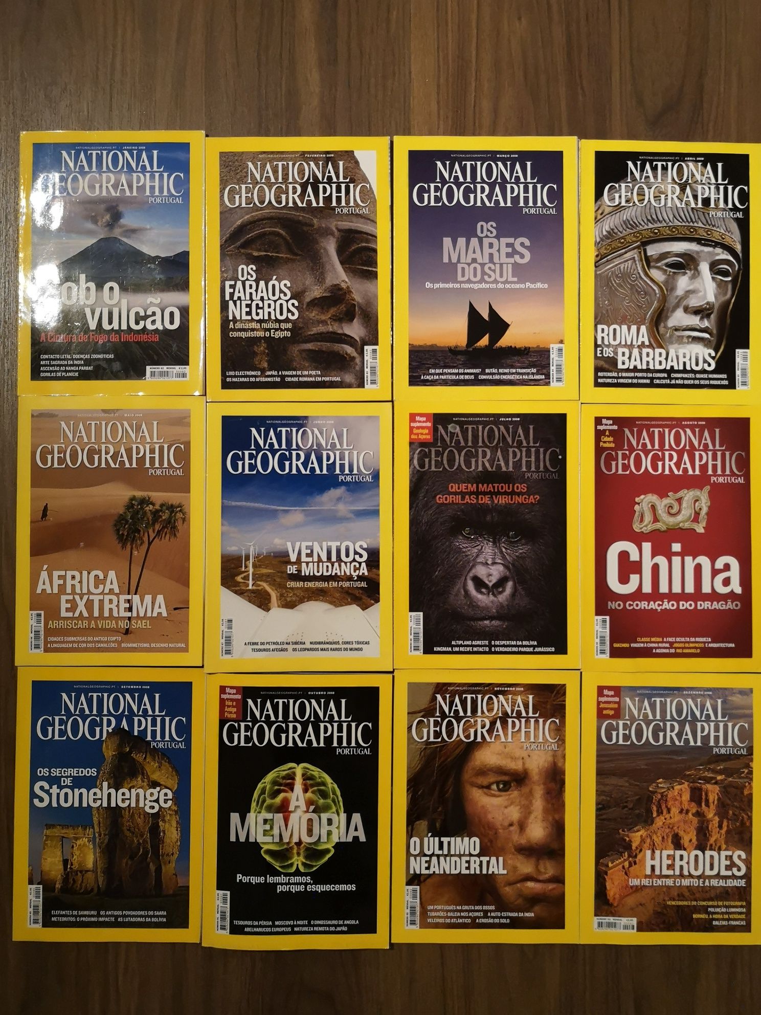 National Geographic - 12 revistas 2008