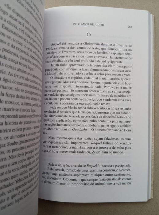 Meir Shalev, Pelo Amor de Judith