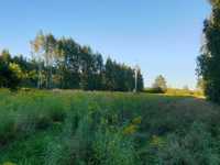 Łąka 1 hektar Gorczyn