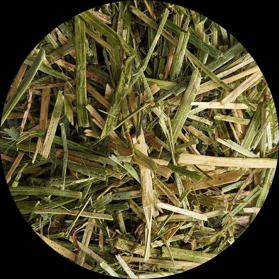BIOFEED Horse & Pony Alfalfa with canola oil 10 kg