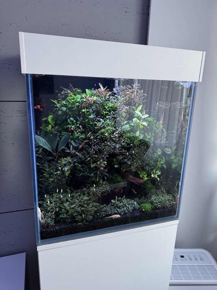 Akwarium 100L opti white