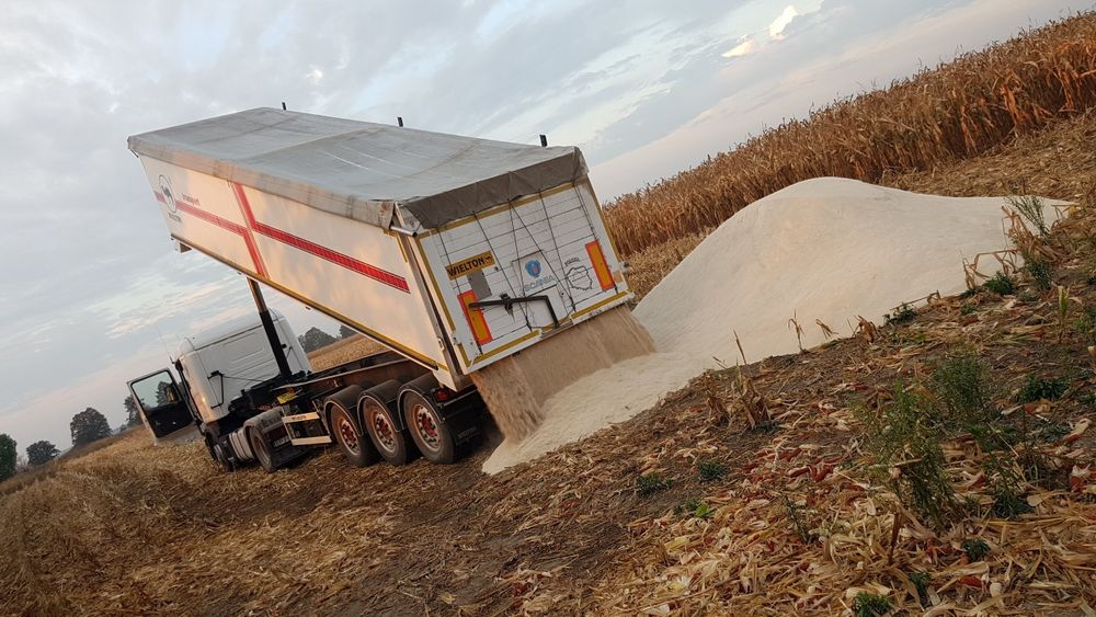 Wapno weglanowe oraz magnezowe z dostawą