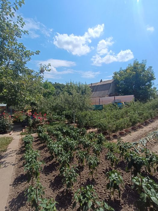 Продаж дачі в селі Сидори