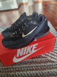Nike Air Max Pulsce 45