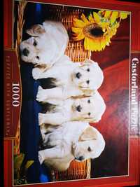 Puzzle 1000 "puppies with sunflower"