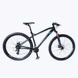 Bicicleta Trail linda