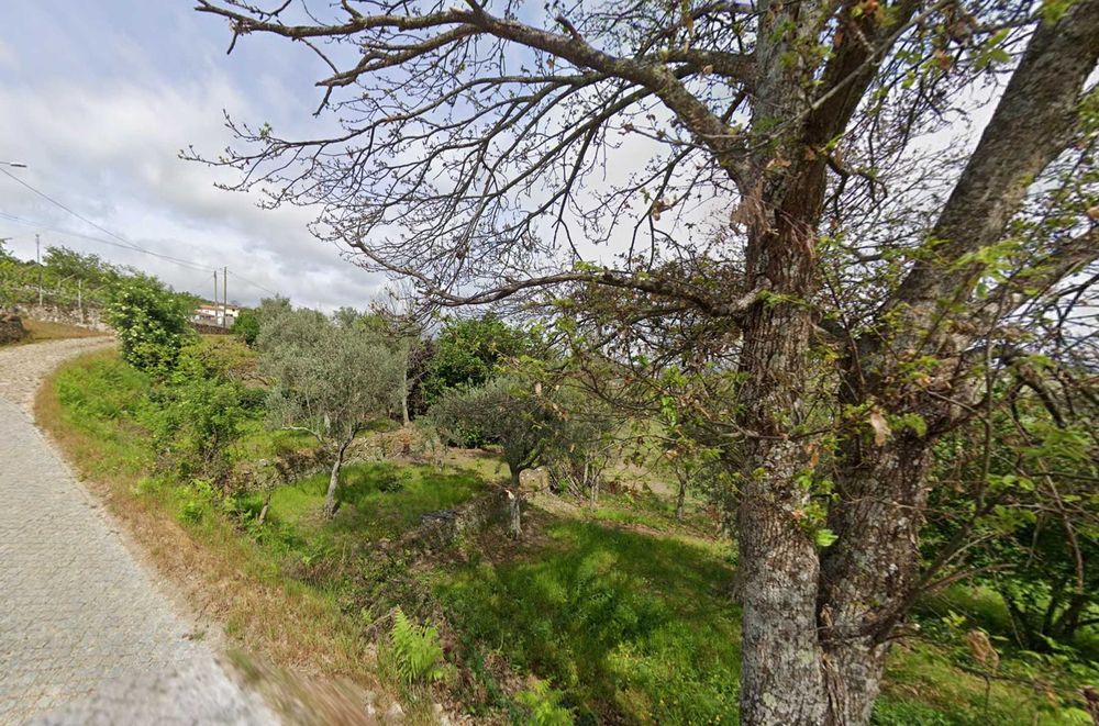 Quinta com 13.625 m² em Cepões - Lamego, junto à A24