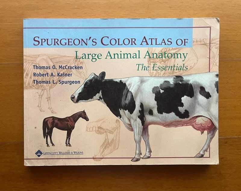 Spurgeon'S Color Atlas Of Large Animal Anatomy - The Essentials