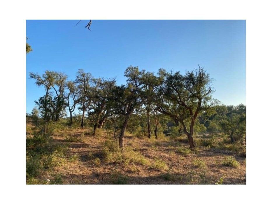 Terreno Rústico com 18 ha, a 2 km do Cercal do Alentejo