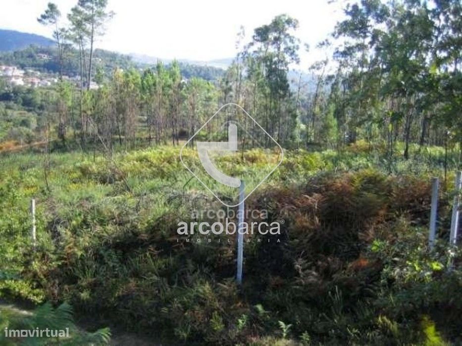 Terreno c/+- 7.500m2, c/viabilidade de construção, Aguiã, Arcos de Val