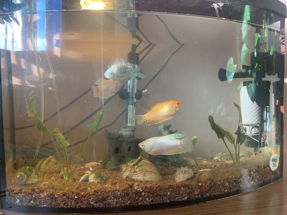 Продається акваріум