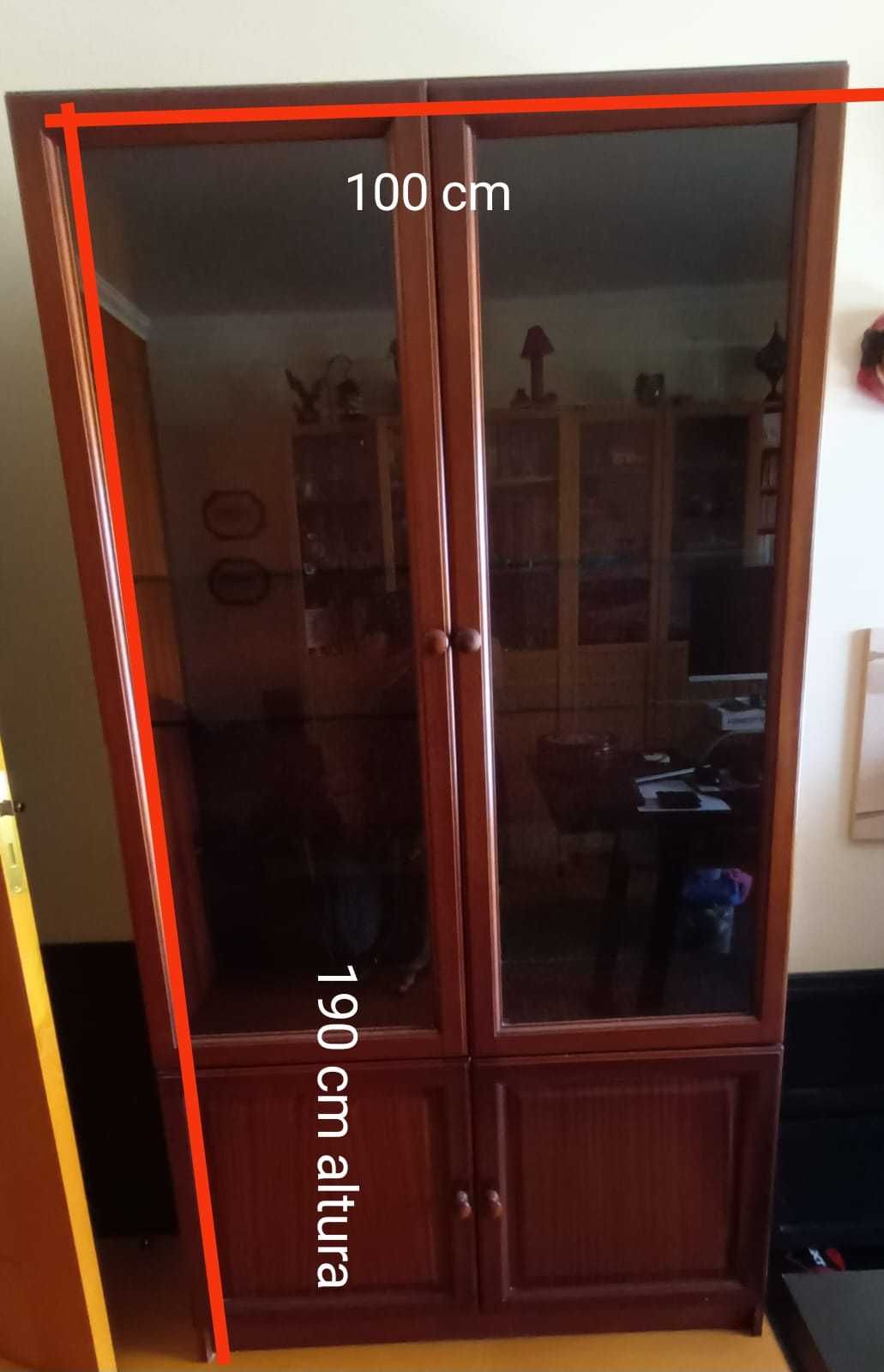 Estante com portas e prateleiras de vidro