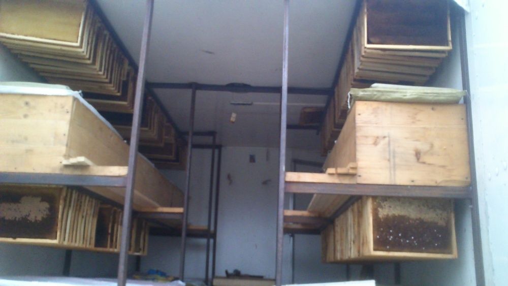 Бджолопавільйон з бджолами