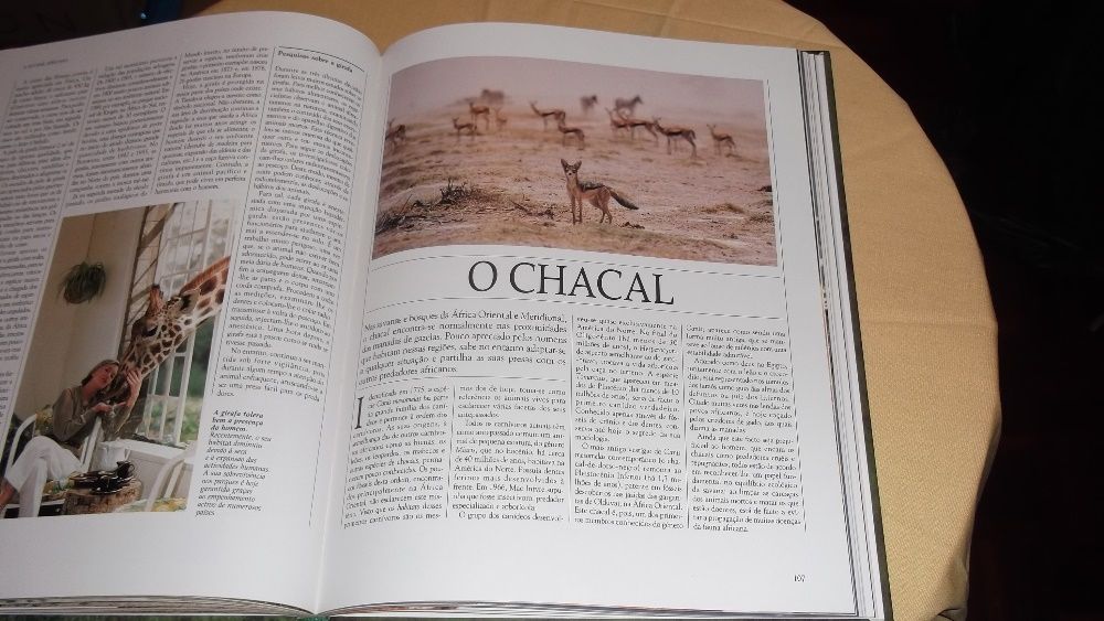 livro Vida Salvagem Animais da Savana