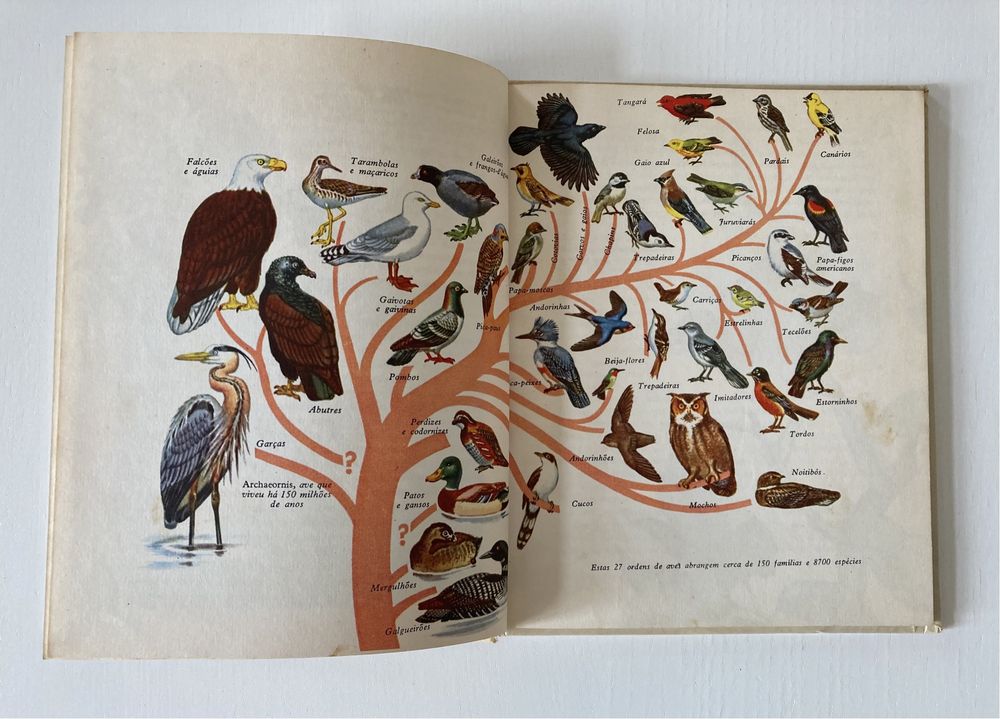 Livro "Aves de Todo o Mundo" Rara Edição Vintage (Anos 60)