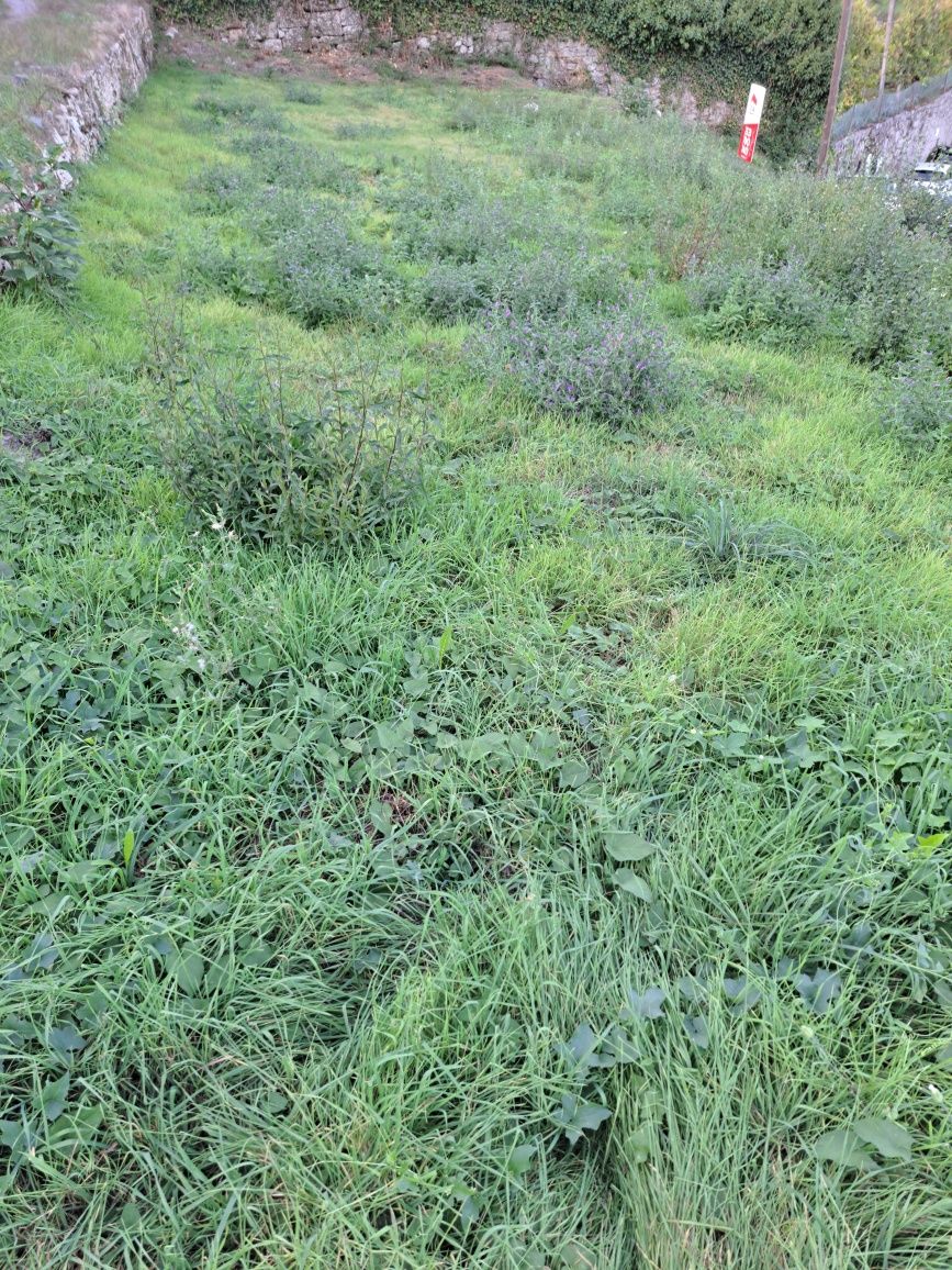 Terreno em Vale de Bouro, Celorico de Basto
