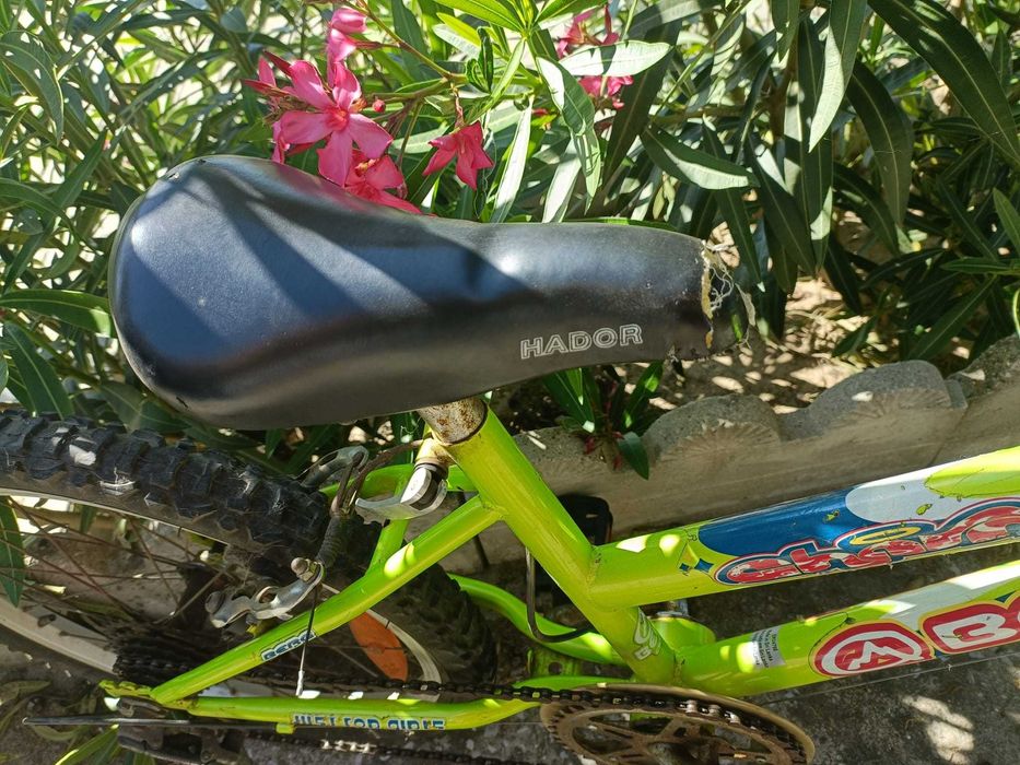 Bicicleta.                .