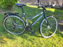 Rower miejski damski Centurion  Free Basic