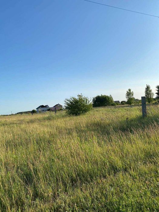 с. Синяк. Земельна ділянка 25 соток