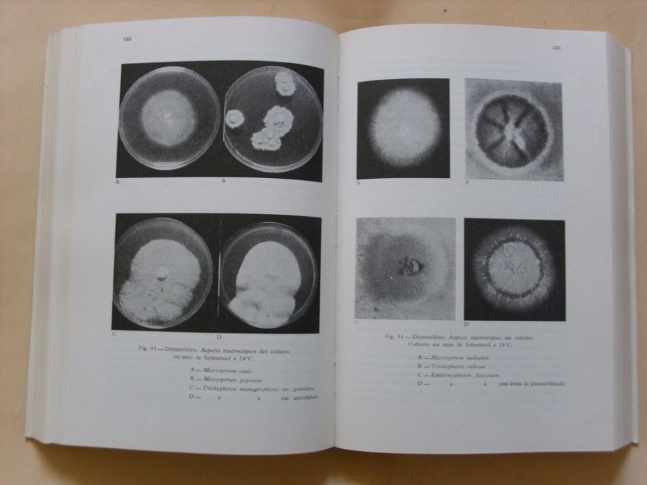 Micologia Médica de Júlia Cabrita, Gustavo Nobre e Juvenal Esteves