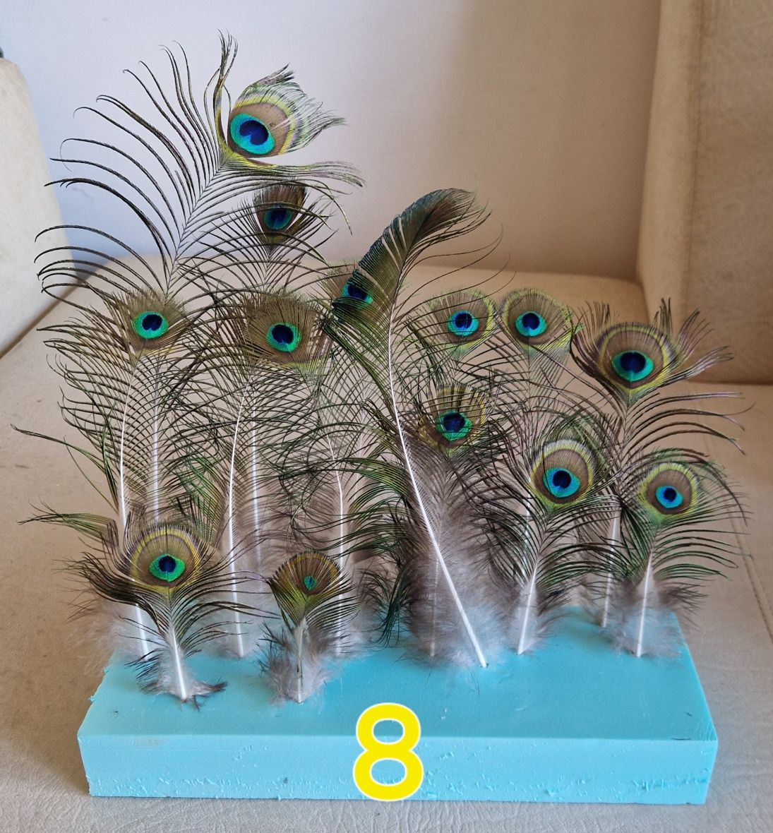 Penas de pavão azul