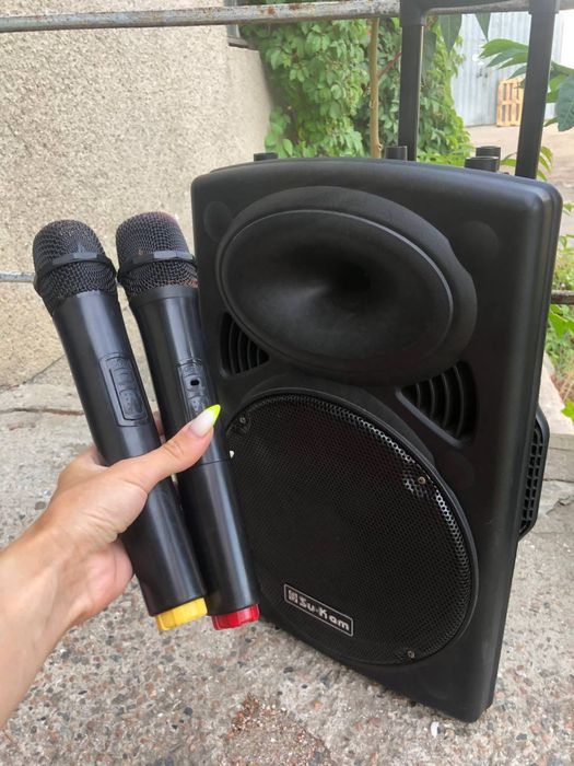 Акустична система/колонка/мікрофони