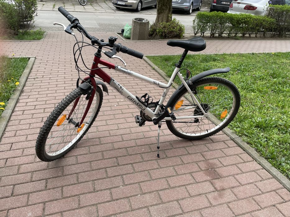 Rower miejski caledonia