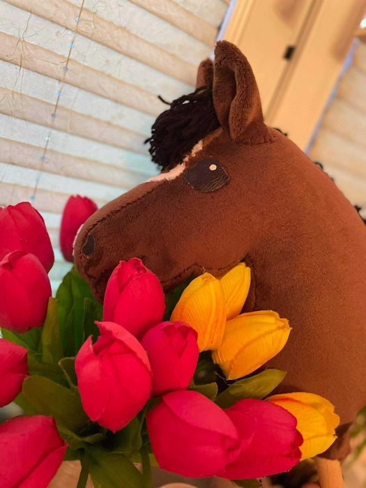 Hobby horse z akcesoriami